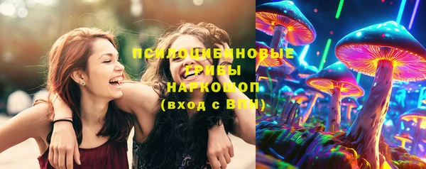 прущая мука Алзамай