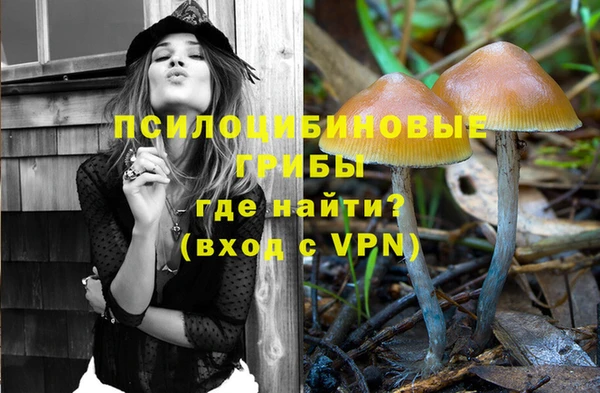 apvp Алексеевка